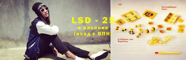 индика Балабаново