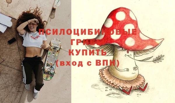 мдпв Балахна