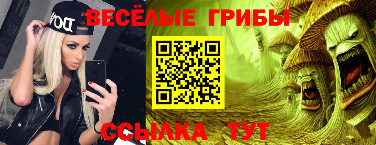 Псилоцибиновые грибы MAGIC MUSHROOMS Кунгур