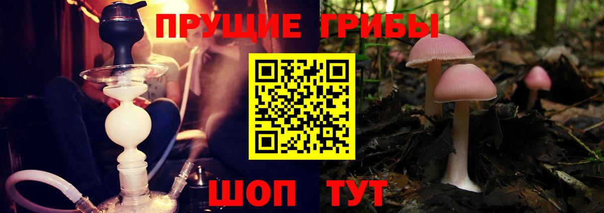 Кунгур  Галлюциногенные грибы ЛСД  Галлюциногенные грибы Psilocybine cubensis  Вход с VPN 